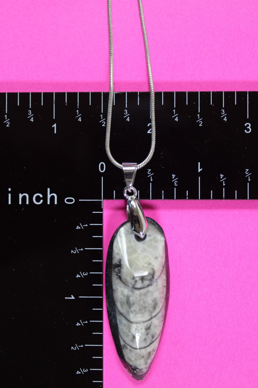 Authentic Orthoceros Necklace Fossil 500 Million Years Old Dinosaur Girl COA 72