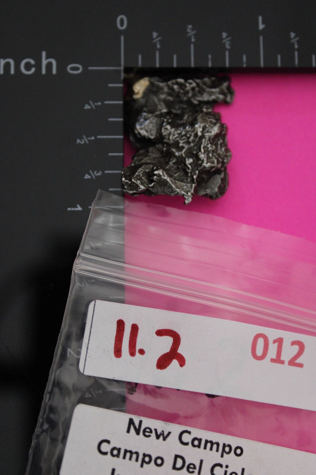 Meteorite Necklace W/ Chain Campo Del Cielo 11.2 Grams Real Dinosaur Girl COA 12