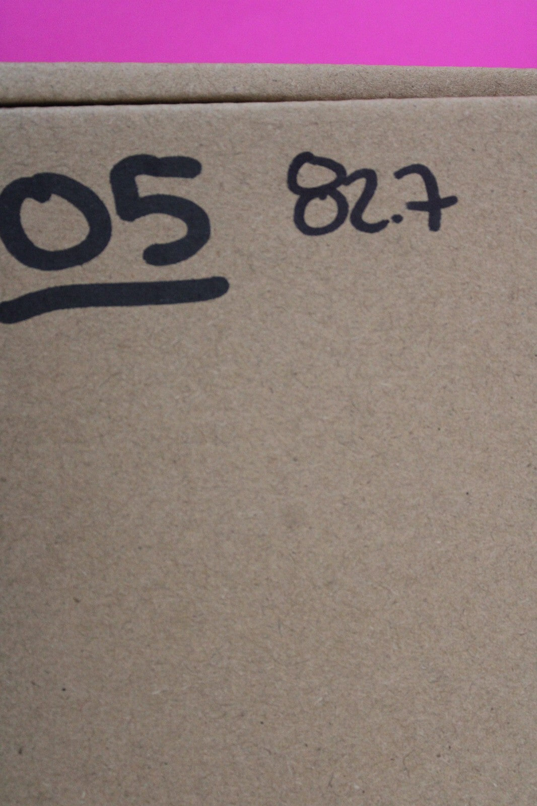 Authentic Trilobite Geode Real Fossil 450 Million Years Old Dinosaur Girl COA 05