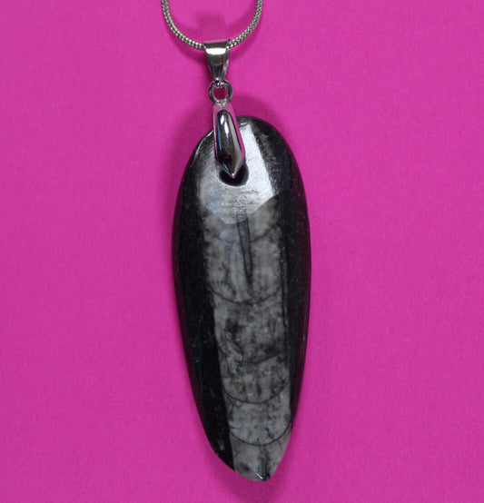 Authentic Orthoceros Necklace Fossil 500 Million Years Old Dinosaur Girl COA 70