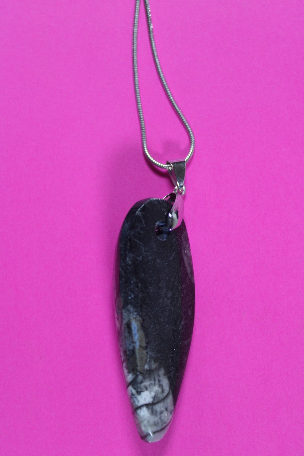 Authentic Orthoceros Necklace Fossil 500 Million Years Old Dinosaur Girl COA 54