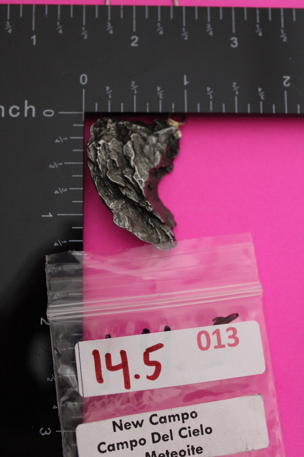 Meteorite Necklace W/ Chain Campo Del Cielo 14.5 Grams Real Dinosaur Girl COA 13