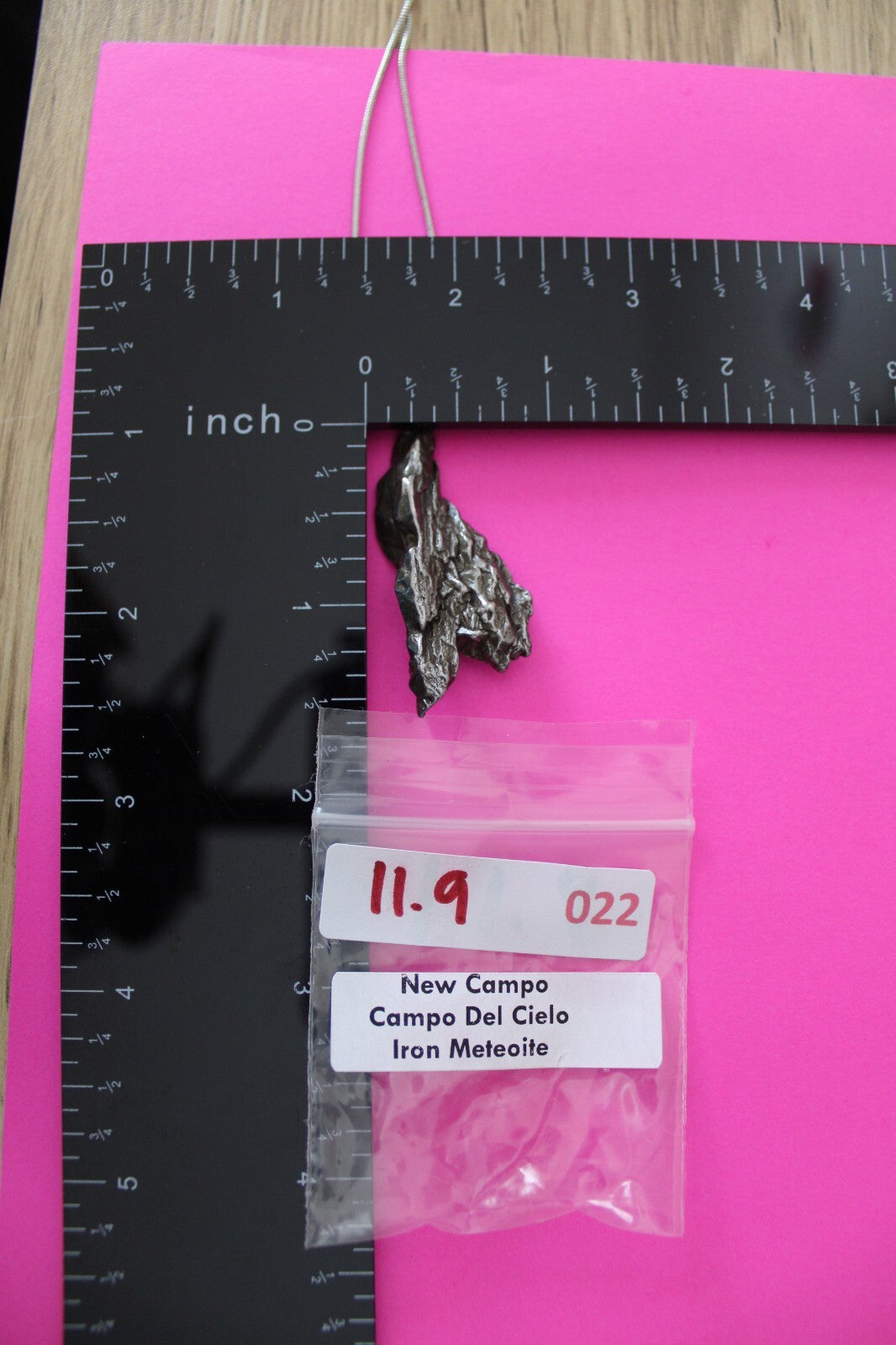 Meteorite Necklace W/ Chain Campo Del Cielo 11.9 Grams Real Dinosaur Girl COA 22