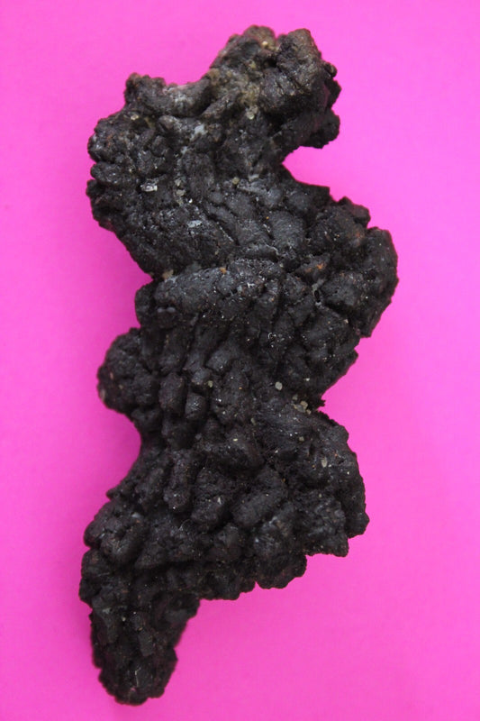 Giant Lizard Poop 5 Million Years Old Genuine Real Fossil Dinosaur Girl COA S23