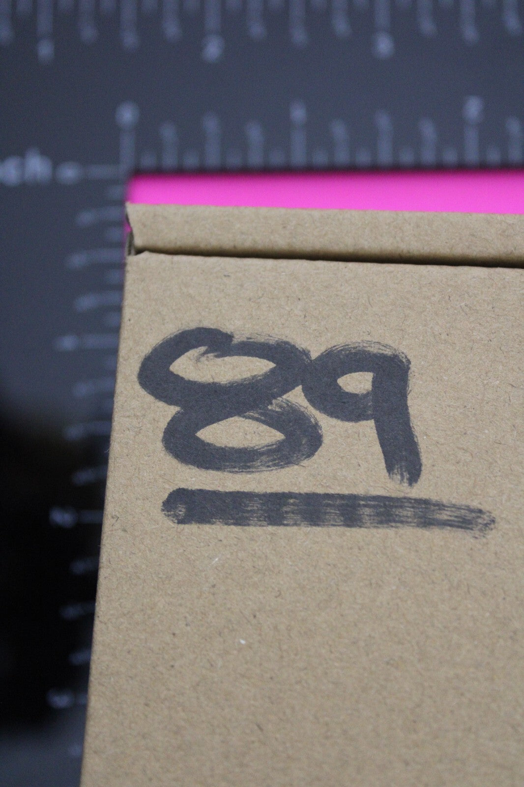 Authentic Trilobite Fossil 450 Million Years Old Genuine Dinosaur Girl COA 89