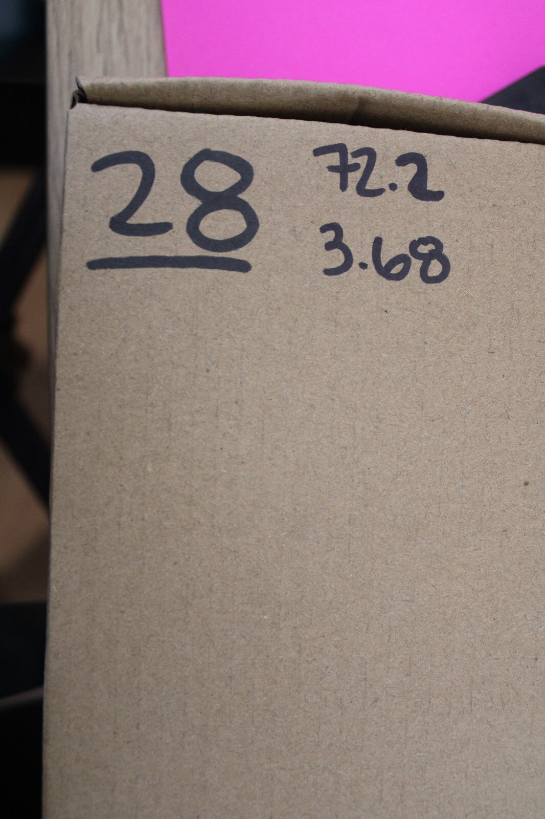 Authentic Megadolon Shark Tooth 3.68 Inch 72 Grams Fossil Dinosaur Girl COA M28