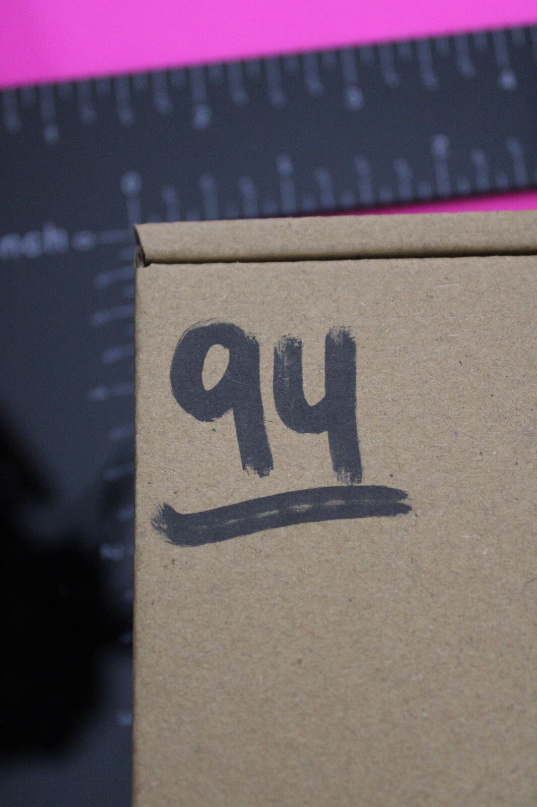 Authentic Trilobite Fossil 450 Million Years Old Genuine Dinosaur Girl COA 94