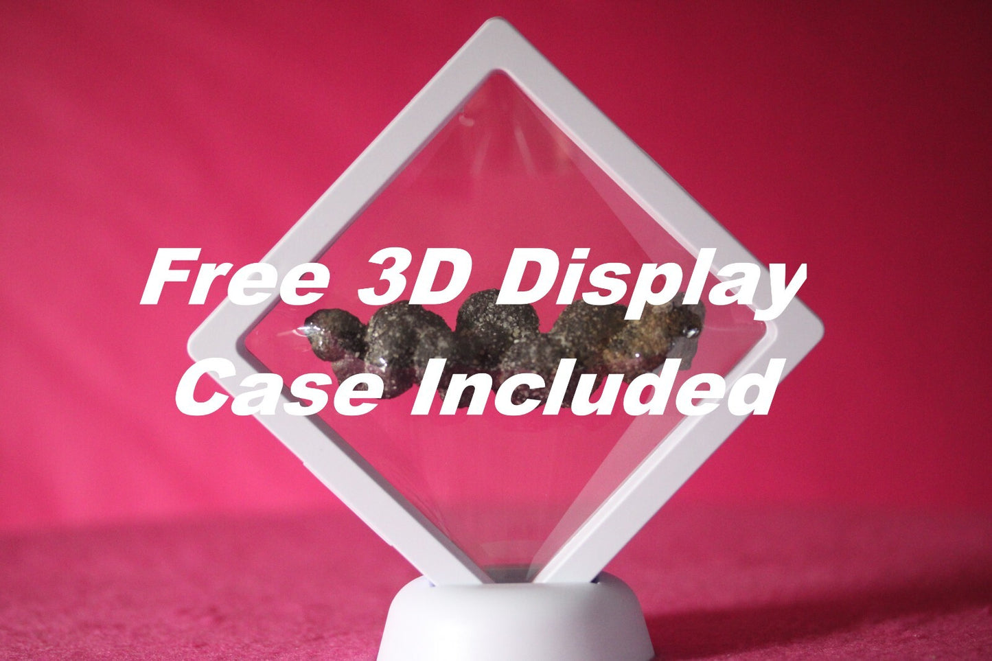 Giant Lizard Poop 5 Million Years Old Genuine Real Fossil Dinosaur Girl COA S12