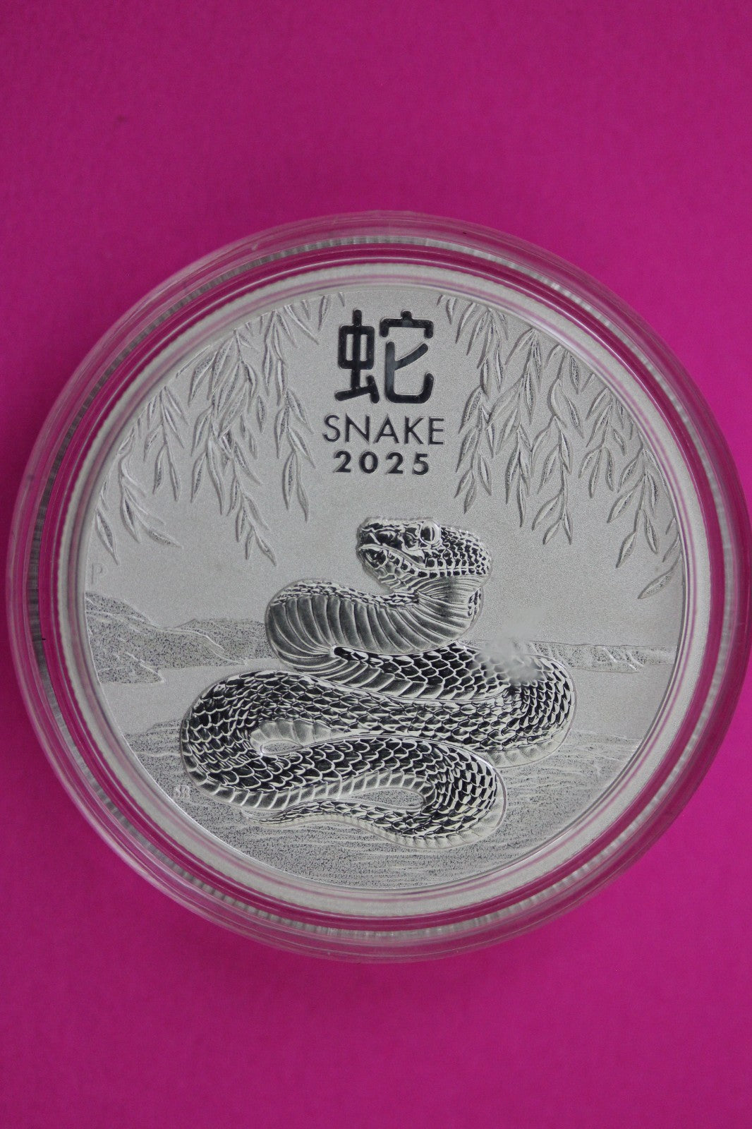 2025  Year of the Snake Australia 50 Cents 1/2 Ounce Silver Mint Capsule C221