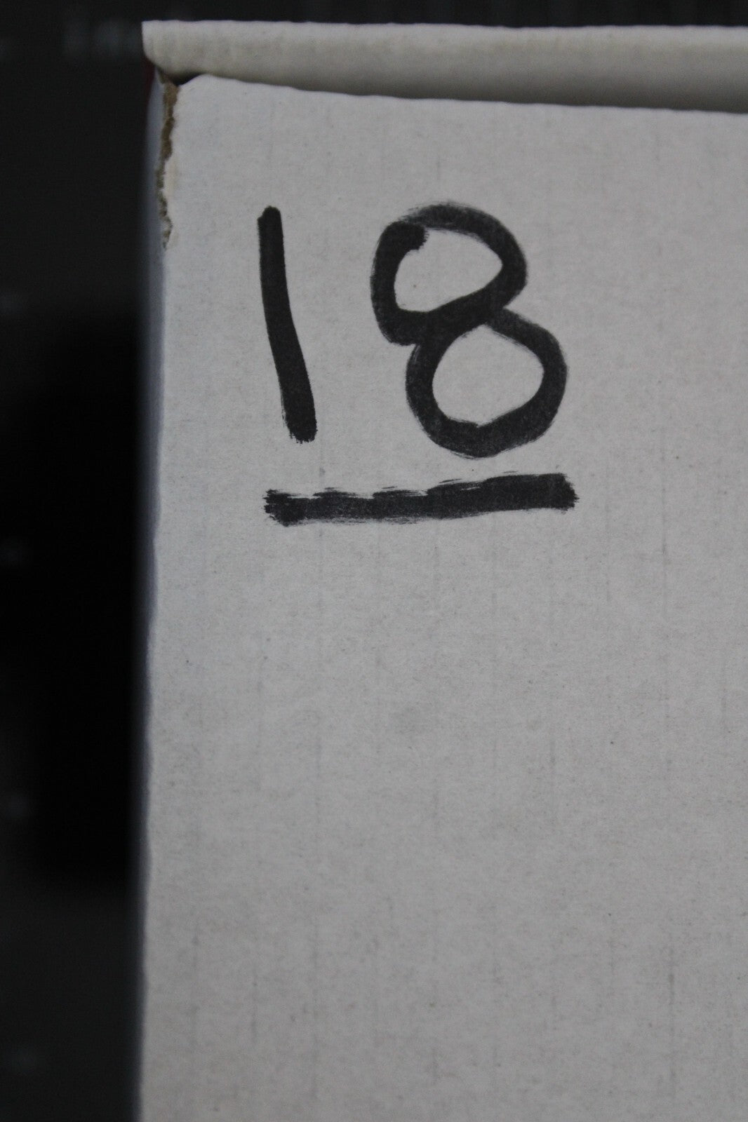 Giant Lizard Poop 5 Million Years Old Genuine Real Fossil Dinosaur Girl COA L18