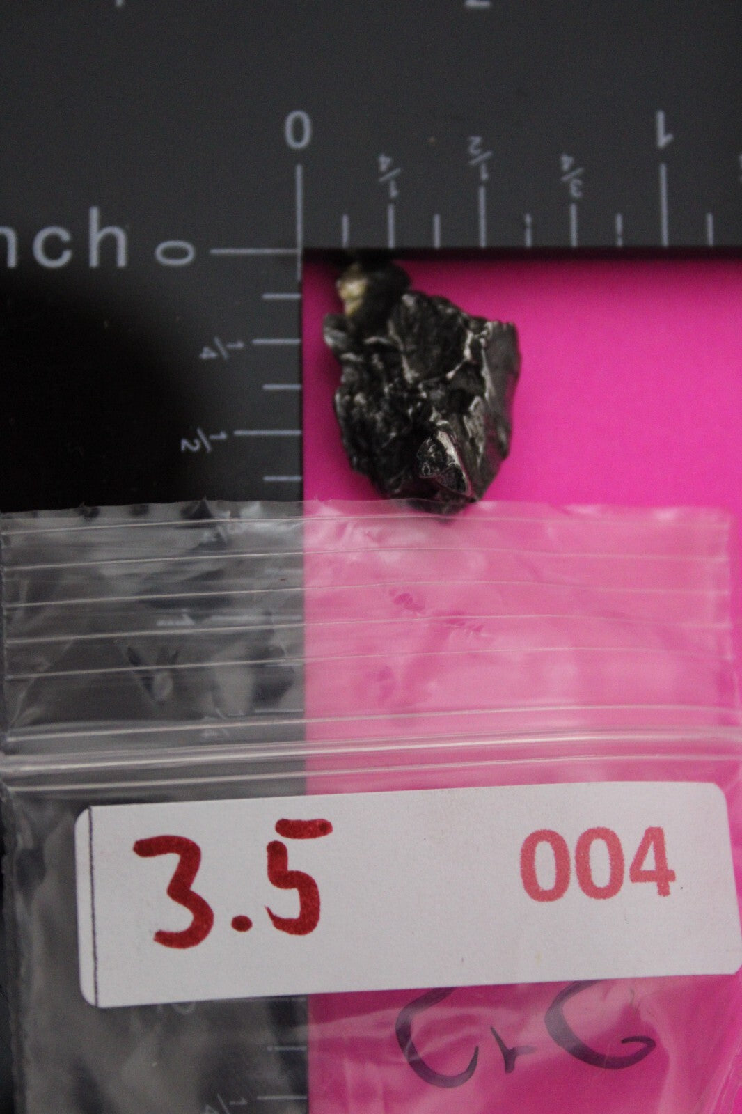 Meteorite Necklace W/ Chain Campo Del Cielo 3.5 Grams Real Dinosaur Girl COA 04