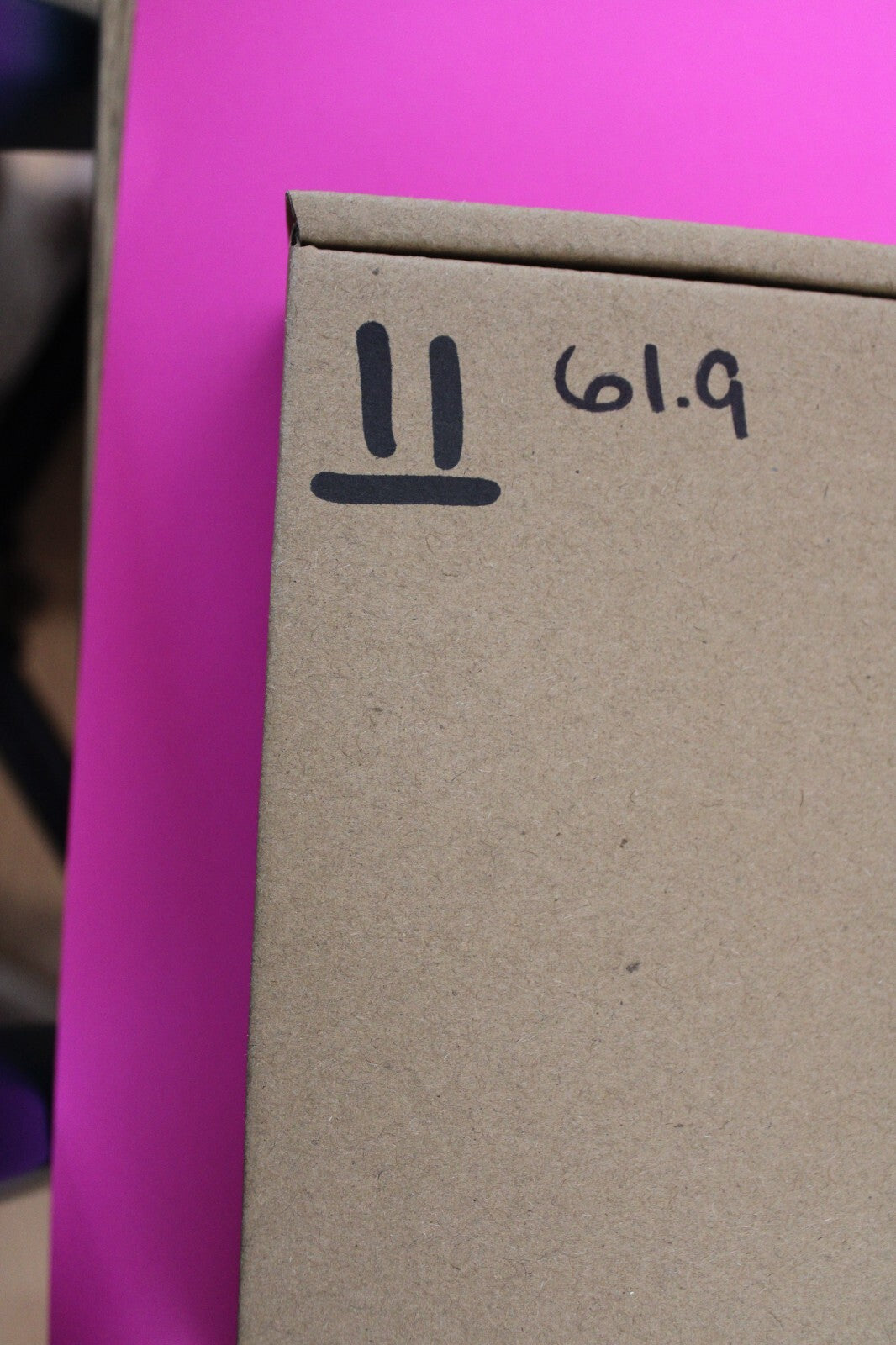 Authentic Trilobite Geode Real Fossil 450 Million Years Old Dinosaur Girl COA 11