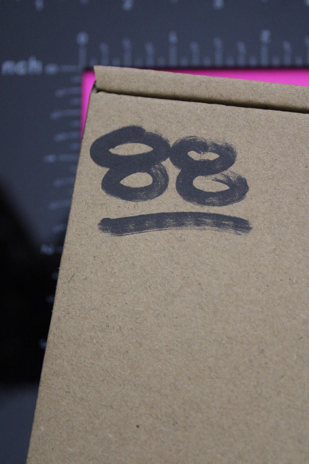 Authentic Trilobite Fossil 450 Million Years Old Genuine Dinosaur Girl COA 88