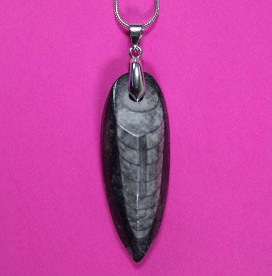 Authentic Orthoceros Necklace Fossil 500 Million Years Old Dinosaur Girl COA 57