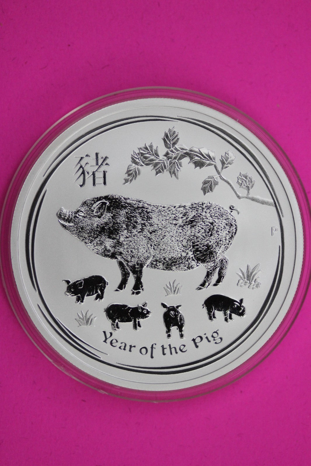 2019 Year of the Pig Australia $1 Dollar Coin 1 Troy OZ Silver Authentic C135