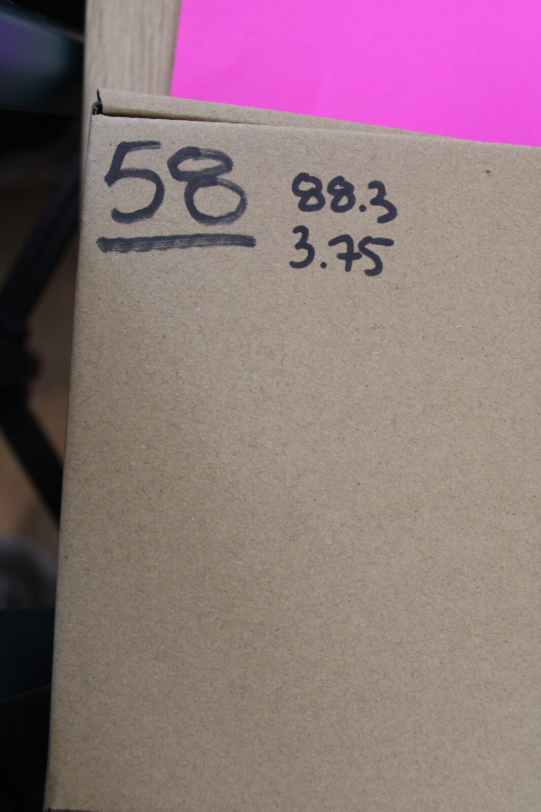 Authentic Megadolon Shark Tooth 3.75 Inch 88 Grams Fossil Dinosaur Girl COA M58