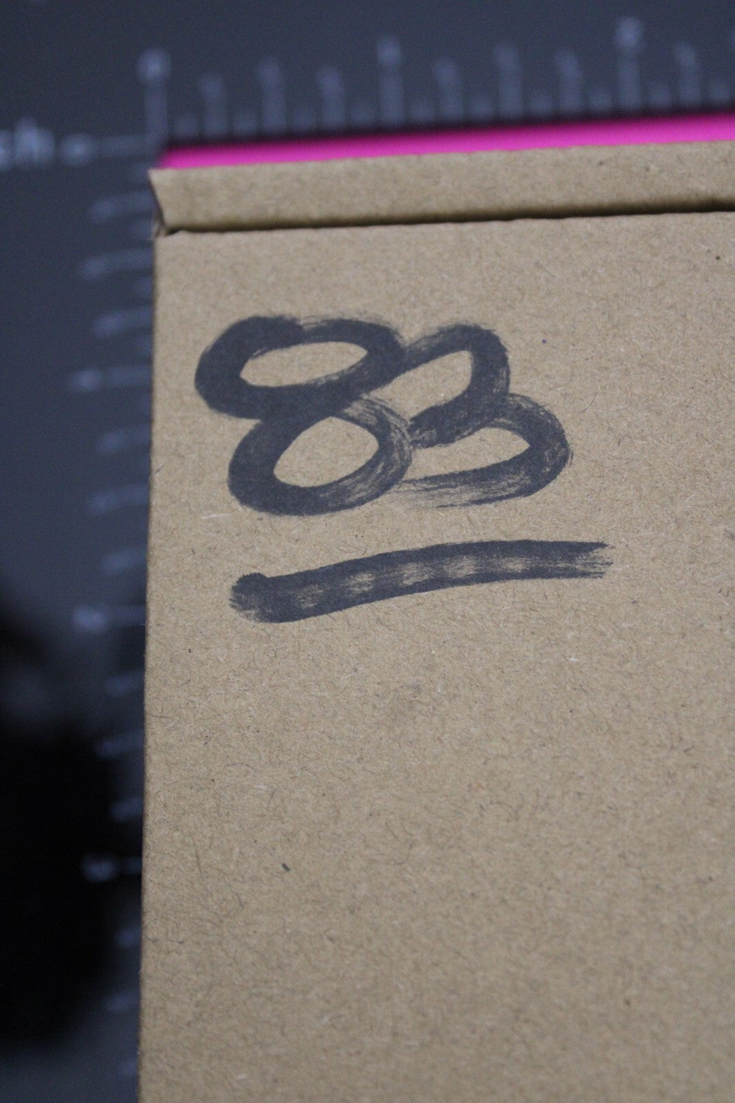 Authentic Trilobite Fossil 450 Million Years Old Genuine Dinosaur Girl COA 83