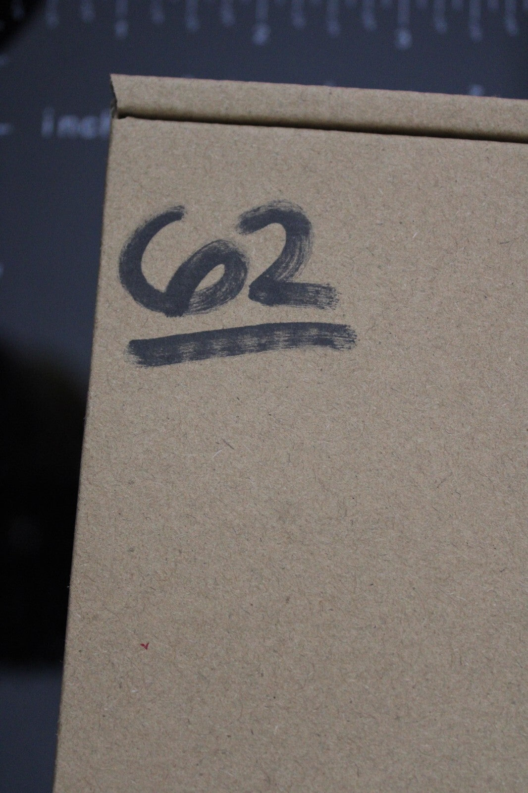 Authentic Trilobite Fossil 450 Million Years Old Genuine Dinosaur Girl COA 62