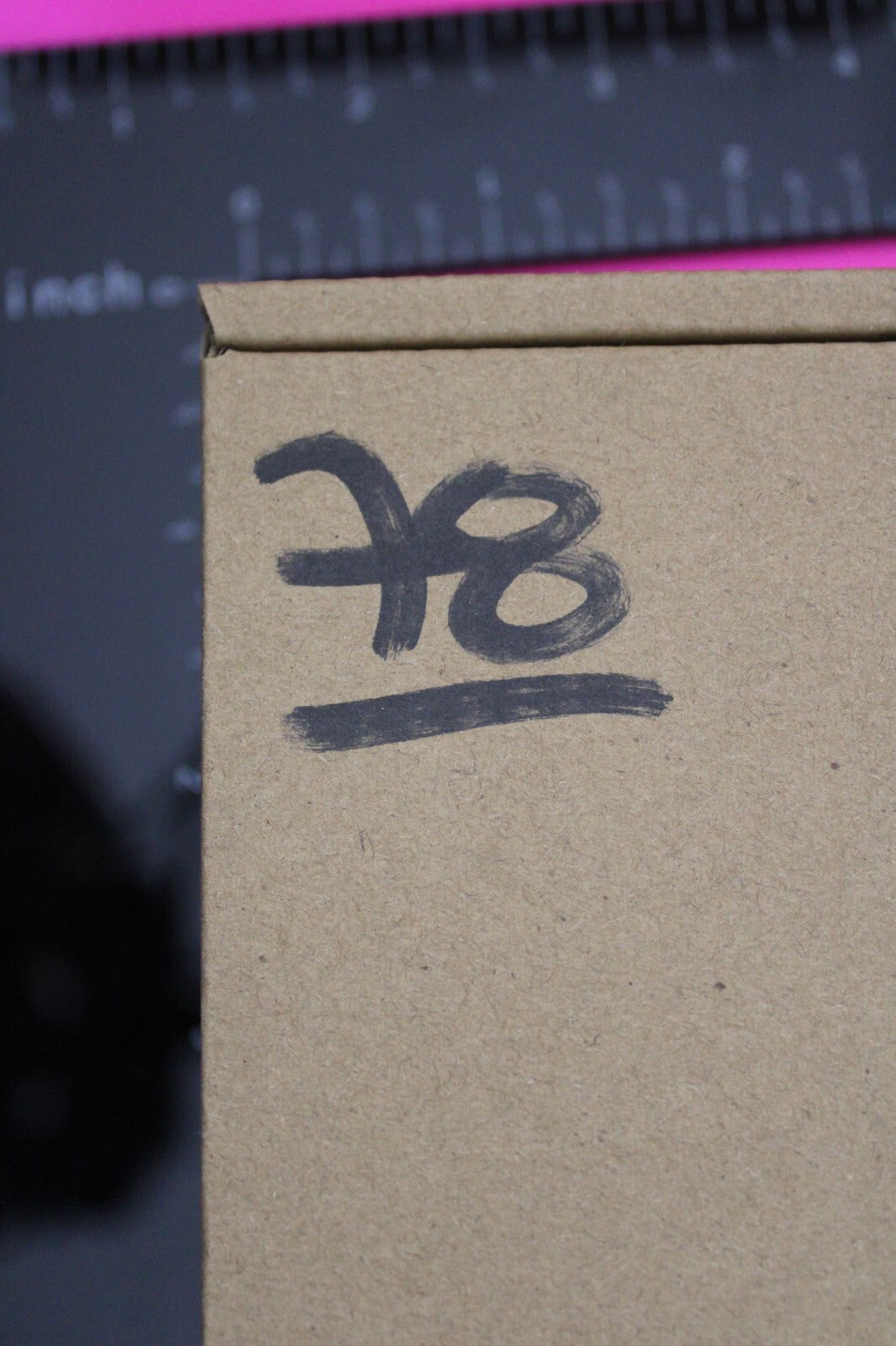 Authentic Trilobite Fossil 450 Million Years Old Genuine Dinosaur Girl COA 78