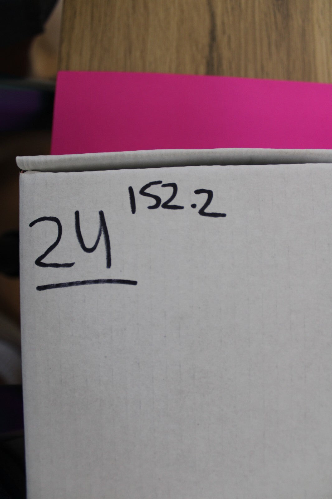 Authentic Trilobite Geode Real Fossil 450 Million Years Old Dinosaur Girl COA 24