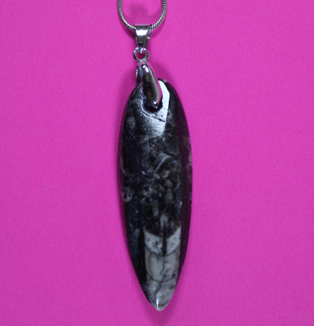 Authentic Orthoceros Necklace Fossil 500 Million Years Old Dinosaur Girl COA 67