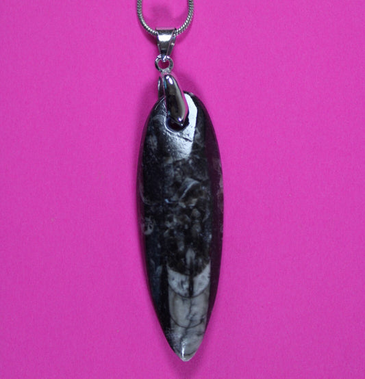 Authentic Orthoceros Necklace Fossil 500 Million Years Old Dinosaur Girl COA 67