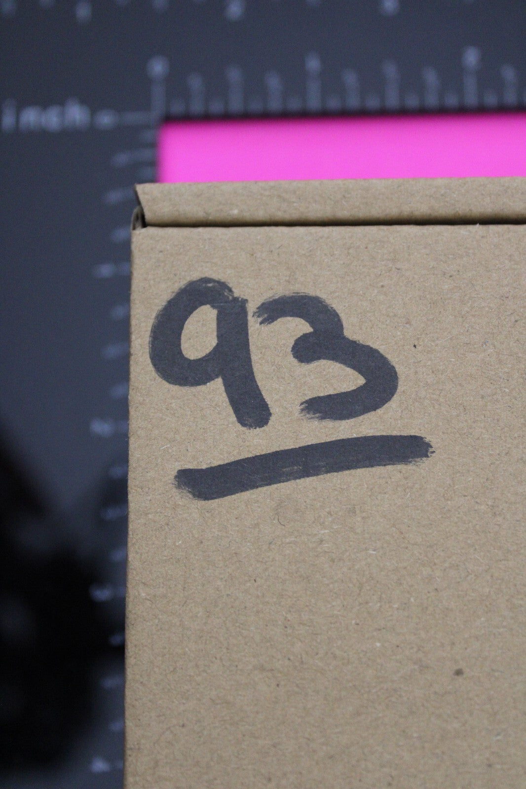 Authentic Trilobite Fossil 450 Million Years Old Genuine Dinosaur Girl COA 93