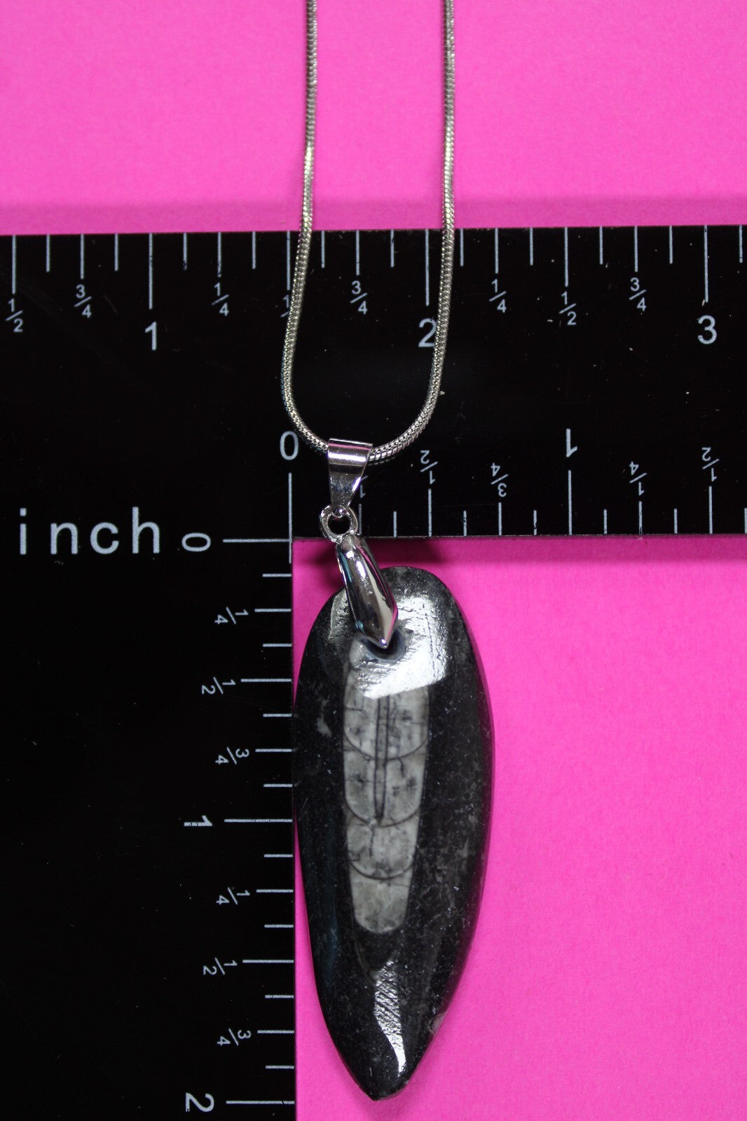 Authentic Orthoceros Necklace Fossil 500 Million Years Old Dinosaur Girl COA 60