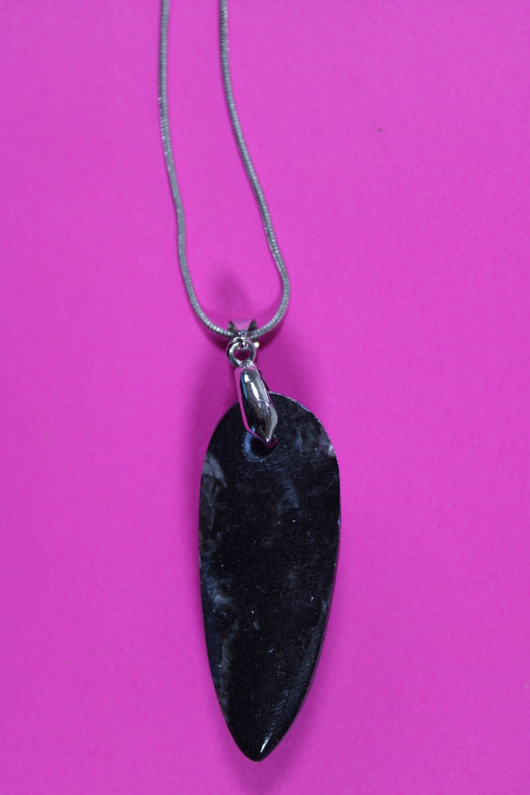 Authentic Orthoceros Necklace Fossil 500 Million Years Old Dinosaur Girl COA 73