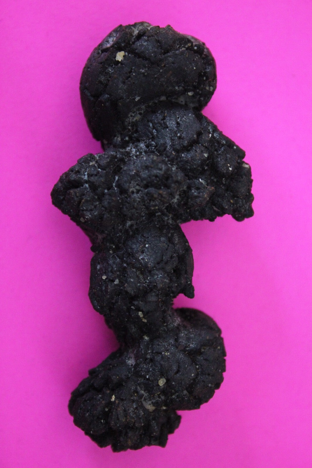 Giant Lizard Poop 5 Million Years Old Genuine Real Fossil Dinosaur Girl COA S34