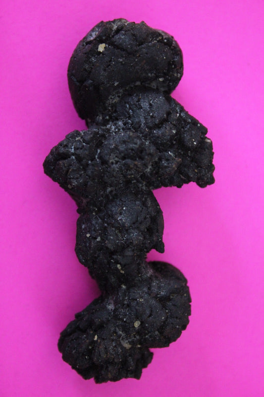 Giant Lizard Poop 5 Million Years Old Genuine Real Fossil Dinosaur Girl COA S34