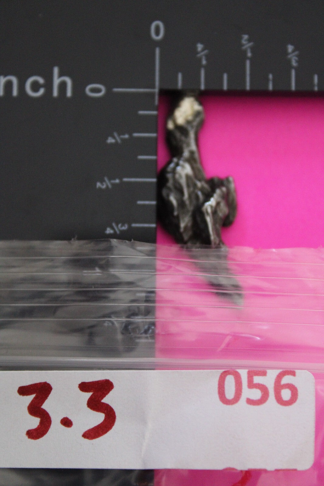 Meteorite Necklace W/ Chain Campo Del Cielo 3.3 Grams Real Dinosaur Girl COA 56