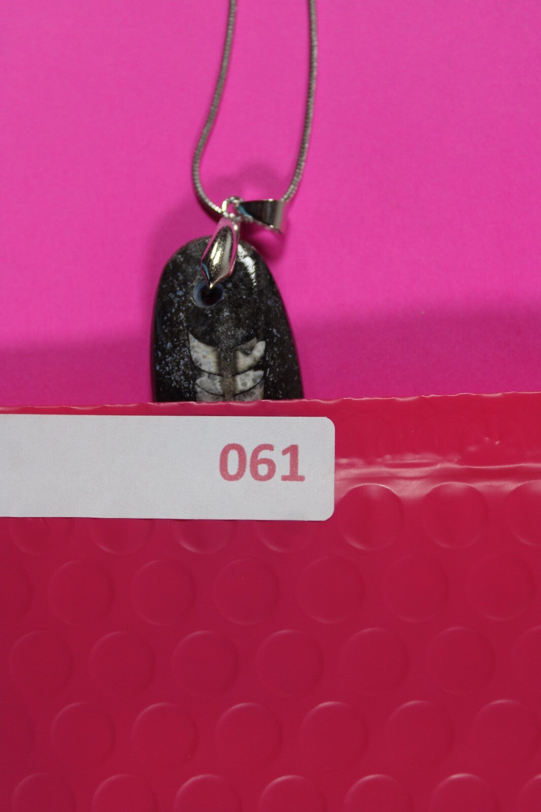 Authentic Orthoceros Necklace Fossil 500 Million Years Old Dinosaur Girl COA 61