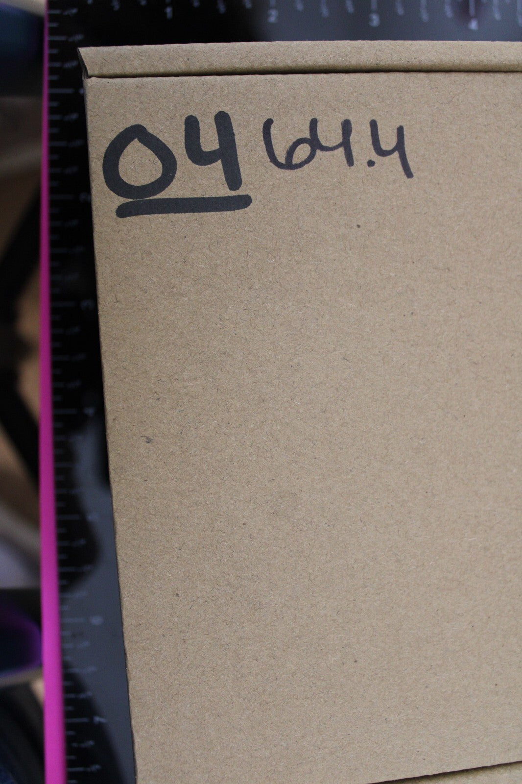 Authentic Trilobite Geode Real Fossil 450 Million Years Old Dinosaur Girl COA 04