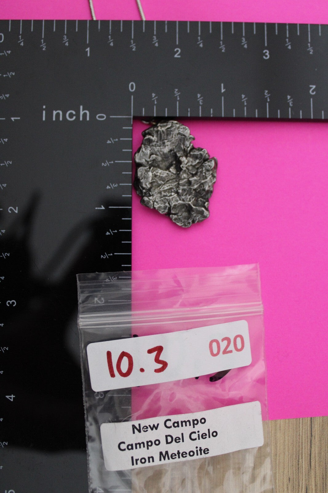 Meteorite Necklace W/ Chain Campo Del Cielo 10.3 Grams Real Dinosaur Girl COA 20