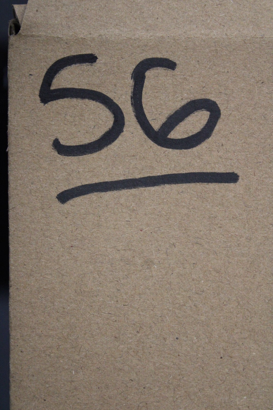 Giant Lizard Poop 5 Million Years Old Genuine Real Fossil Dinosaur Girl COA S56