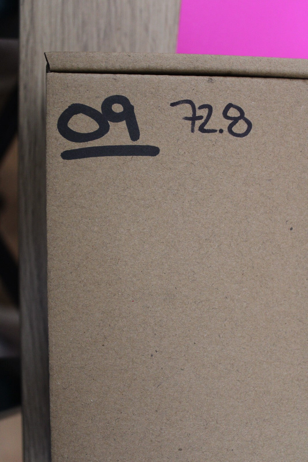 Authentic Trilobite Geode Real Fossil 450 Million Years Old Dinosaur Girl COA 09