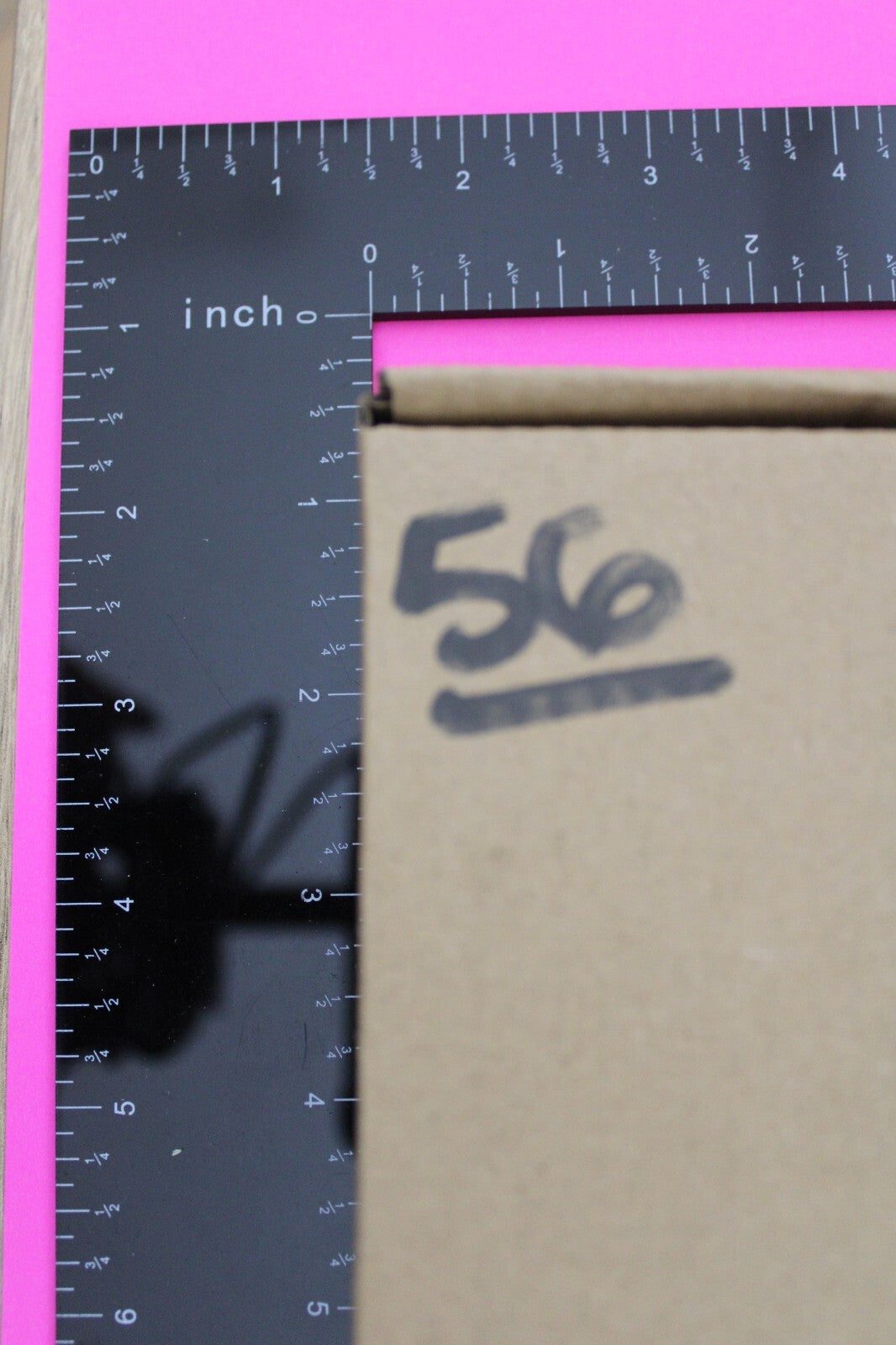 Authentic Trilobite Fossil 450 Million Years Old Genuine Dinosaur Girl COA 56