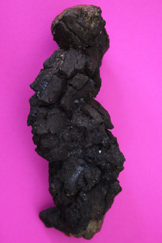 Giant Lizard Poop 5 Million Years Old Genuine Real Fossil Dinosaur Girl COA S33