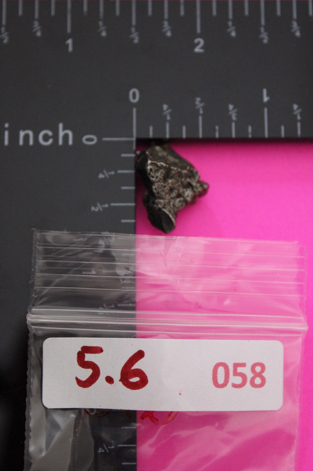 Meteorite Necklace W/ Chain Campo Del Cielo 5.6 Grams Real Dinosaur Girl COA 58