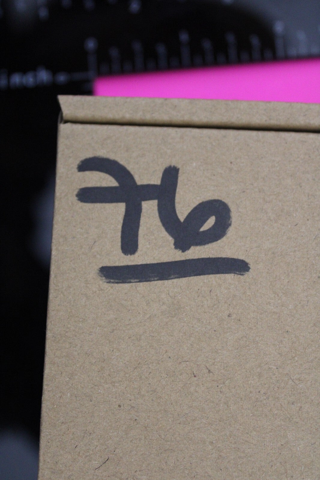 Authentic Trilobite Fossil 450 Million Years Old Genuine Dinosaur Girl COA 76