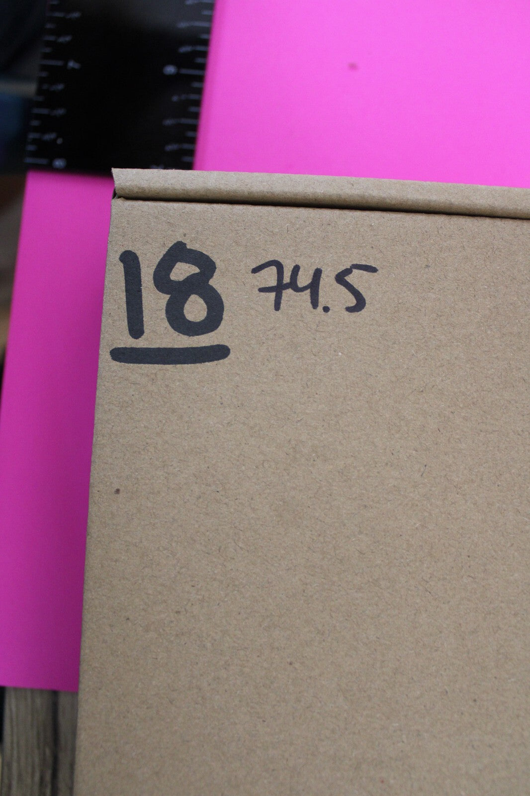 Authentic Trilobite Geode Real Fossil 450 Million Years Old Dinosaur Girl COA 18